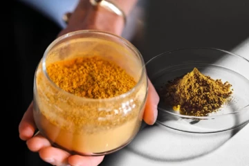 காற்று மற்றும் மின்சாரத்திலிருந்து தயாரிக்கப்பட்ட Protein Powder!