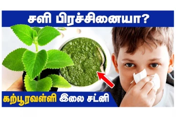 சளி பிரச்சினையா? இதோ கற்பூரவள்ளி இலை சட்னி