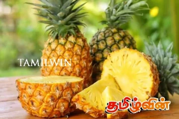 அன்னாசி பழத்தின் விலையில் ஏற்பட்டுள்ள மாற்றம்