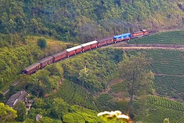 கிரேட் வெஸ்டன் மரணம்; தாமதமாகும் பிரேதப் பரிசோதனை முடிவுகள் | Delayed Autopsy Results Great Weston Dead