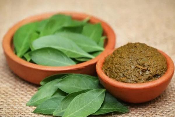 மருதாணியின் சிறப்புத் தன்மைகள் | Henna Benefits In Islam