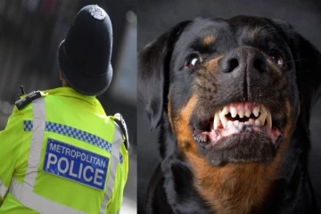 10 வயது சிறுமியை தாக்கிய வீட்டு வளர்ப்பு நாய்! பிரித்தானியாவில் அரங்கேறிய சோகம்