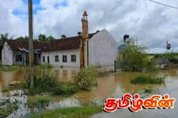 திருகோணமலை மாவட்டத்தில் கடும் மழையால் வேளாண்மை பெரும் பாதிப்பு