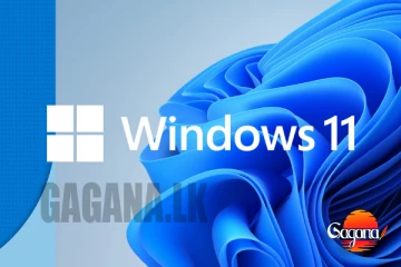 Windows 11 අලුත් අප්ඩේට් එක දුන්න අයට විශේෂ දැනුවත් කිරීමක්
