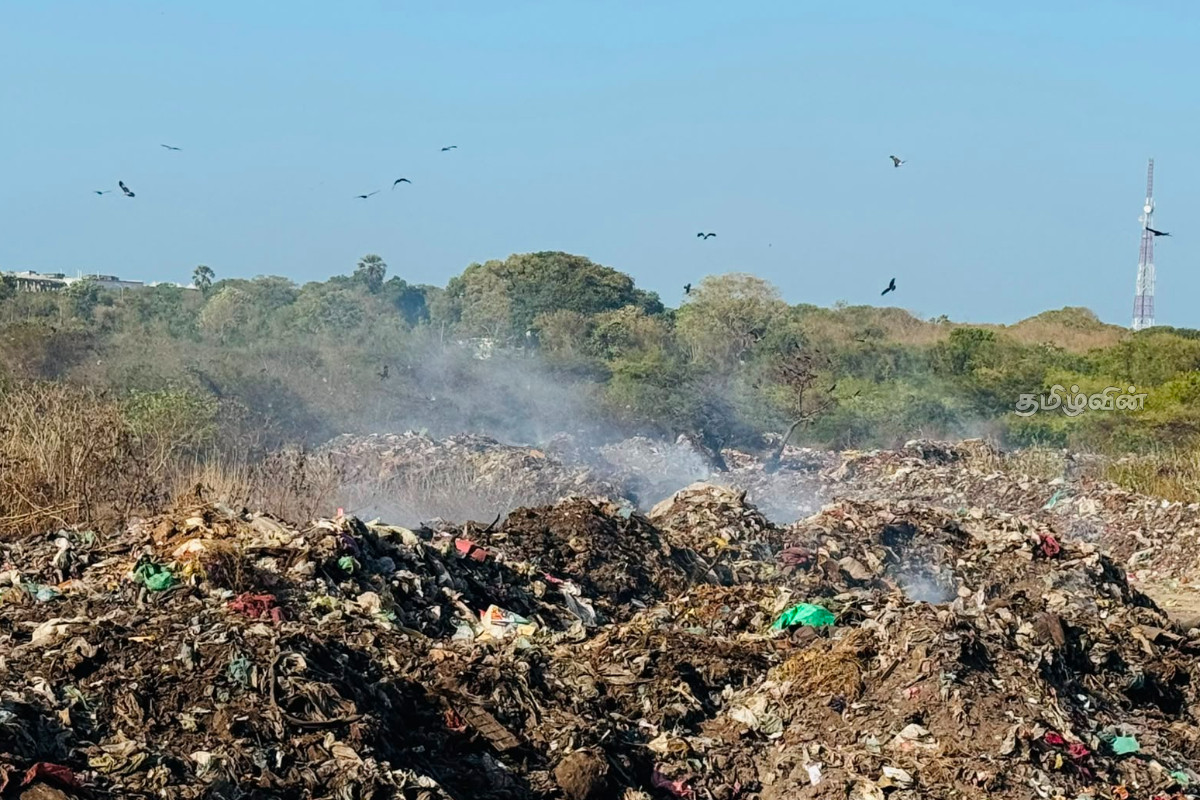 கழிவுகளால் நிரம்பும் கீரிமலை - புனித தன்மையை கெடுக்கும் செயலா என விசனம் | Keerimalai Waste Is It Destroy Sacred Nature