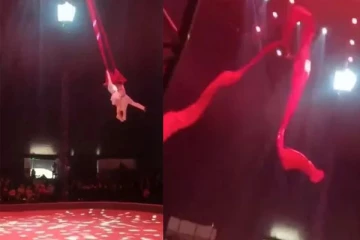 வெளிநாடொன்றில் சர்க்கஸில் நிகழ்ந்த தவறு: அலறிய பார்வையாளர்கள்