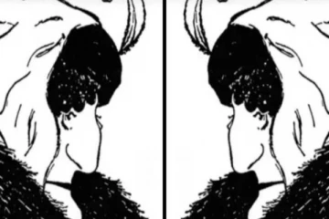 உங்களை பற்றிய ரகசியத்தை தெரிந்து கொள்ள ஒரு Test- படத்தில் தெரிவது என்ன?