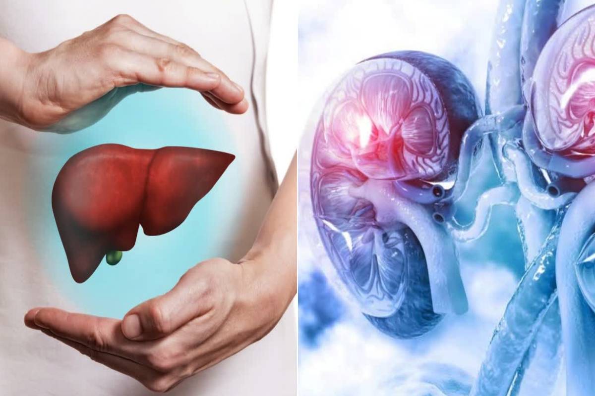 கல்லீரலை சுத்தப்படுத்தும் மூன்று காய்கறிகள் - இன்றிலிருந்தே சாப்பிடுங்க | Vegetables That Cleanse The Liver And Kidneys கல்லீரலை சுத்தப்படுத்தும் மூன்று காய்கறிகள் - இன்றிலிருந்தே சாப்பிடுங்க | Vegetables That Cleanse The Liver And Kidneys