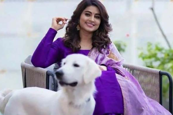 மாடர்ன் உடையில் படு ஸ்லிம்மாக மாறிய சினேகா! வைரலாகும் புகைப்படம் | Sneha Modern Dress Recent Photo Viral