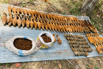 முல்லைத்தீவில் மீட்கப்பட்ட வெடிபொருட்கள்: நீதிமன்றம் பிறப்பித்த உத்தரவு!