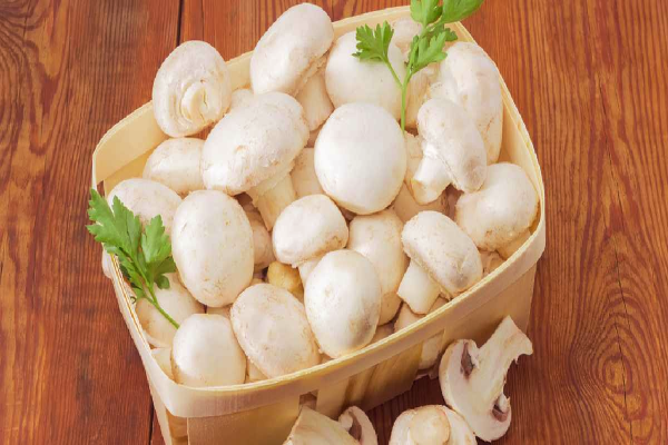 செட்டிநாட்டு ஹோட்டல் சுவையில் மஷ்ரூம் சுக்கா - இப்படியும் செய்யலாம் | Chettinad Mushroom Sukka Recipe In Tamil செட்டிநாட்டு ஹோட்டல் சுவையில் மஷ்ரூம் சுக்கா - இப்படியும் செய்யலாம் | Chettinad Mushroom Sukka Recipe In Tamil