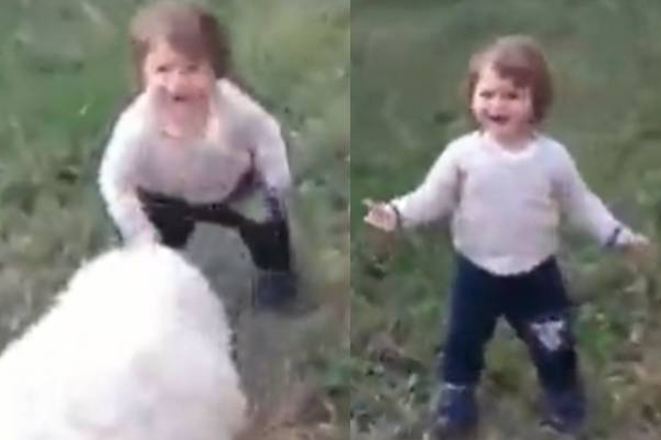 குழந்தையோடு கொஞ்சி விளையாடும் ஆட்டுக்குட்டி! ஒற்றை புன்னகைக்கு கோடி கொடுத்தாலும் ஈடாகுமா? | Viral Video World News