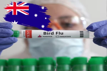 அவுஸ்திரேலியாவிலும் பரவியது ‘H5N1’ பறவைக் காய்ச்சல்