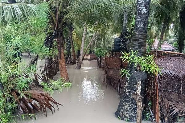 முல்லைத்தீவில் தொடரும் மழையுடனான காலநிலை : 22792 குடும்பங்கள் பாதிப்பு | Rainy Weather Continues In Mullaitivu