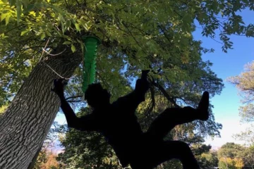 யாழில் 5 பிள்ளைகளின் தந்தைக்கு நேர்ந்த துயரம் ; சோகத்தில் குடும்பம்