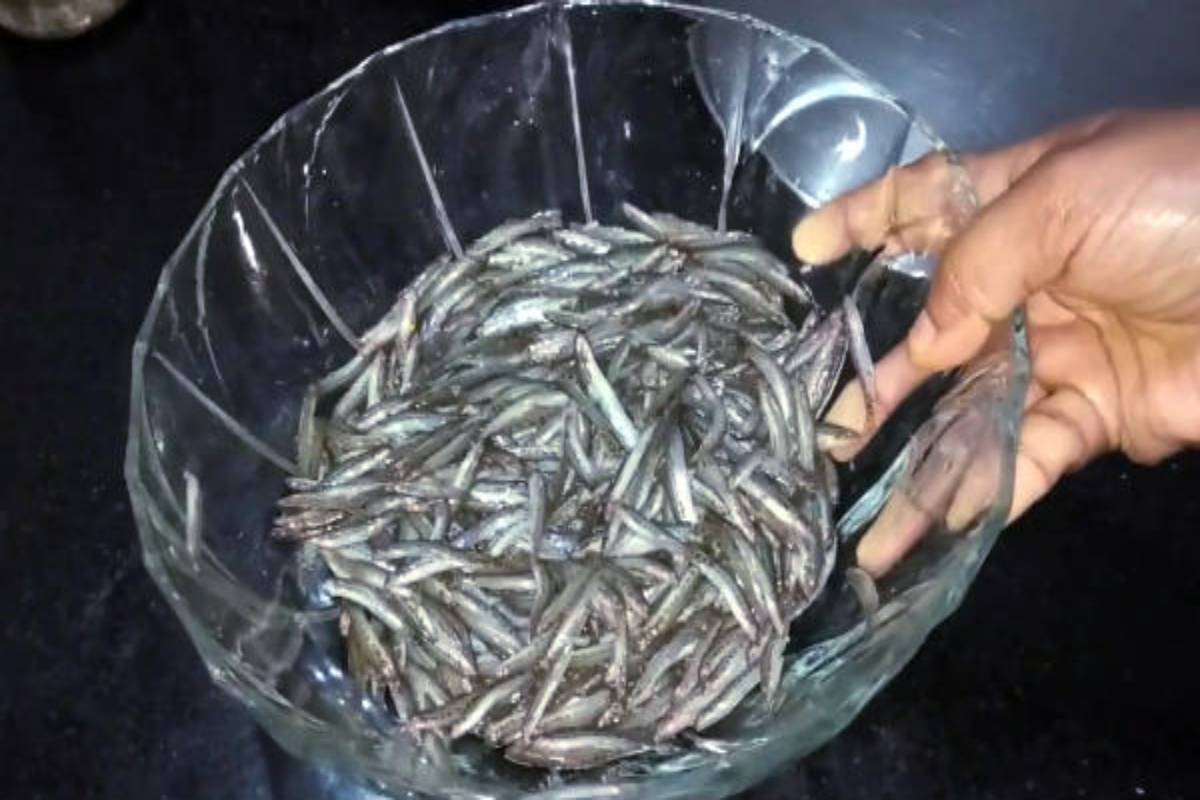 கிராமத்து ஸ்டைலில் அயிரை மீன் குழம்பு - இப்படி செஞ்சு பாருங்க சுவை அசத்தும் | Airai Fish Curry Village Food Village Style Recipe