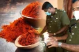 கலப்பட மிளகாய்த்தூள் விற்பனை: வியாபாரிக்கு அபராதம் - வியாபாரிகள் மற்றும் பொது மக்களுக்கு எச்சரிக்கை