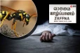 யாழ்ப்பாணத்தில் கருக்குளவி தாக்குதல் ; 67 வயது முதியவர் உயிரிழப்பு