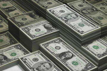 பெரும் தொகை டொலர்களை அரித்த கரையான்!