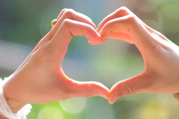 நீதிமன்றம் சேர்த்துவைத்த தன்பாலின இளம் பெண்கள்; தற்போது எப்படி இருகின்றார்கள்! | Young Heterosexual Women Who Live Together Kerala