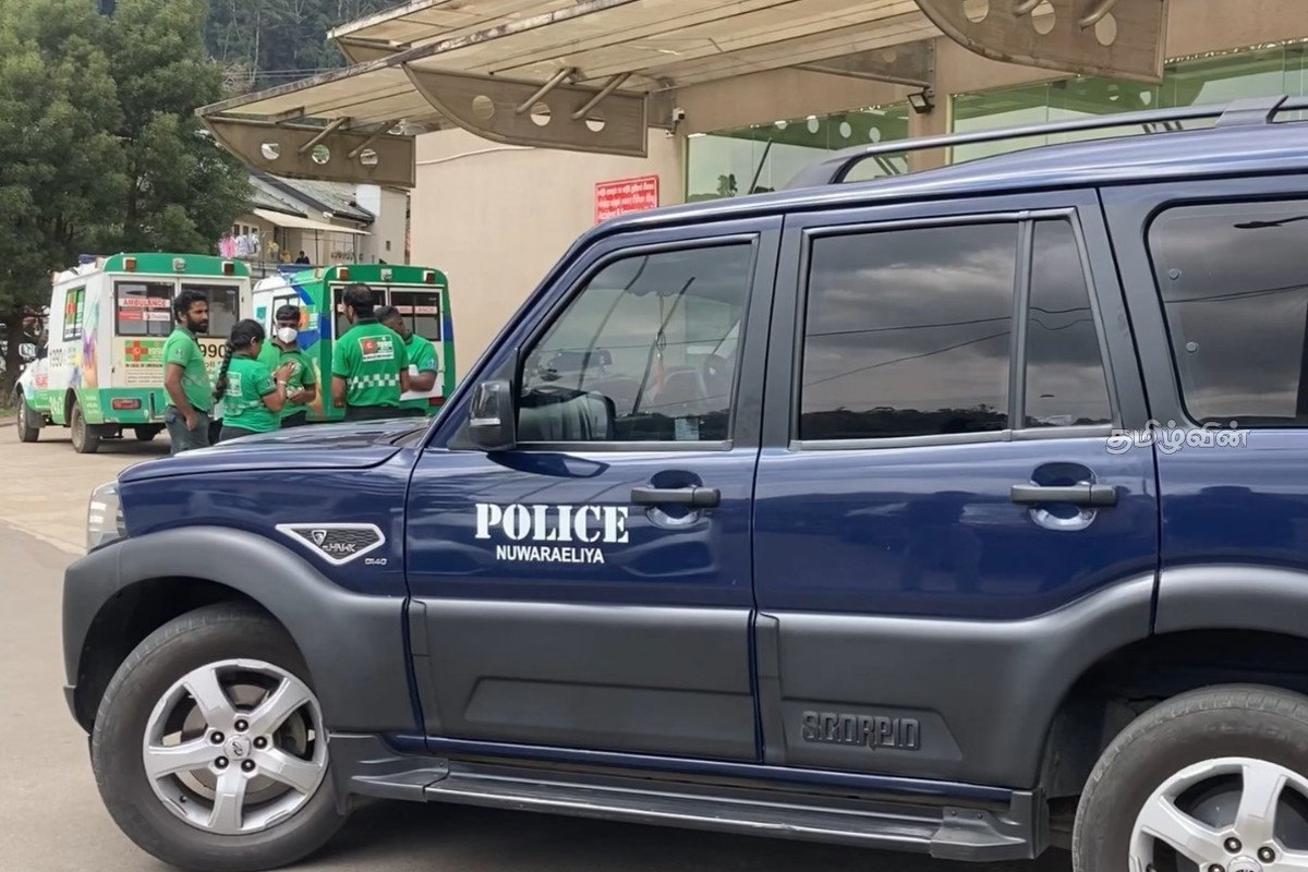 கொத்மலையில் குளவி தாக்குதல்: 7 பொலிஸ் அதிகாரிகள் வைத்தியசாலையில் அனுமதி | Wasp Attack In Kotmale