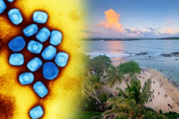 இலங்கையில் குரங்கம்மை தொற்று தொடர்பில் சுகாதார அமைச்சு வெளியிட்ட தகவல்