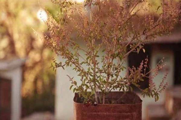 புது வருடத்தில் இந்த பொருட்களை வீட்டில் வைக்காதீங்க - வாஸ்து | Things Should Not Be Kept At Home In The New Year