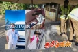 மித்தெனிய முக்கொலை! மேலும் ஒரு சந்தேக நபர் கைது