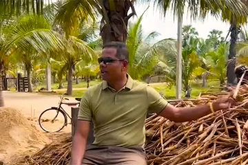 பல்லாயிரக்கணக்கில் பனங்கிழங்குகள்! தாயக தமிழர்களின் நினைவுகளைத் தூண்டும் காணொளி (Video)