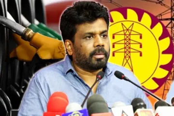 அமைச்சரவையில் எரிபொருள் மற்றும் மின்சார மோசடியாளர்கள்: அனுரகுமார கடுமையாக சாடல் - செய்திகளின் தொகுப்பு