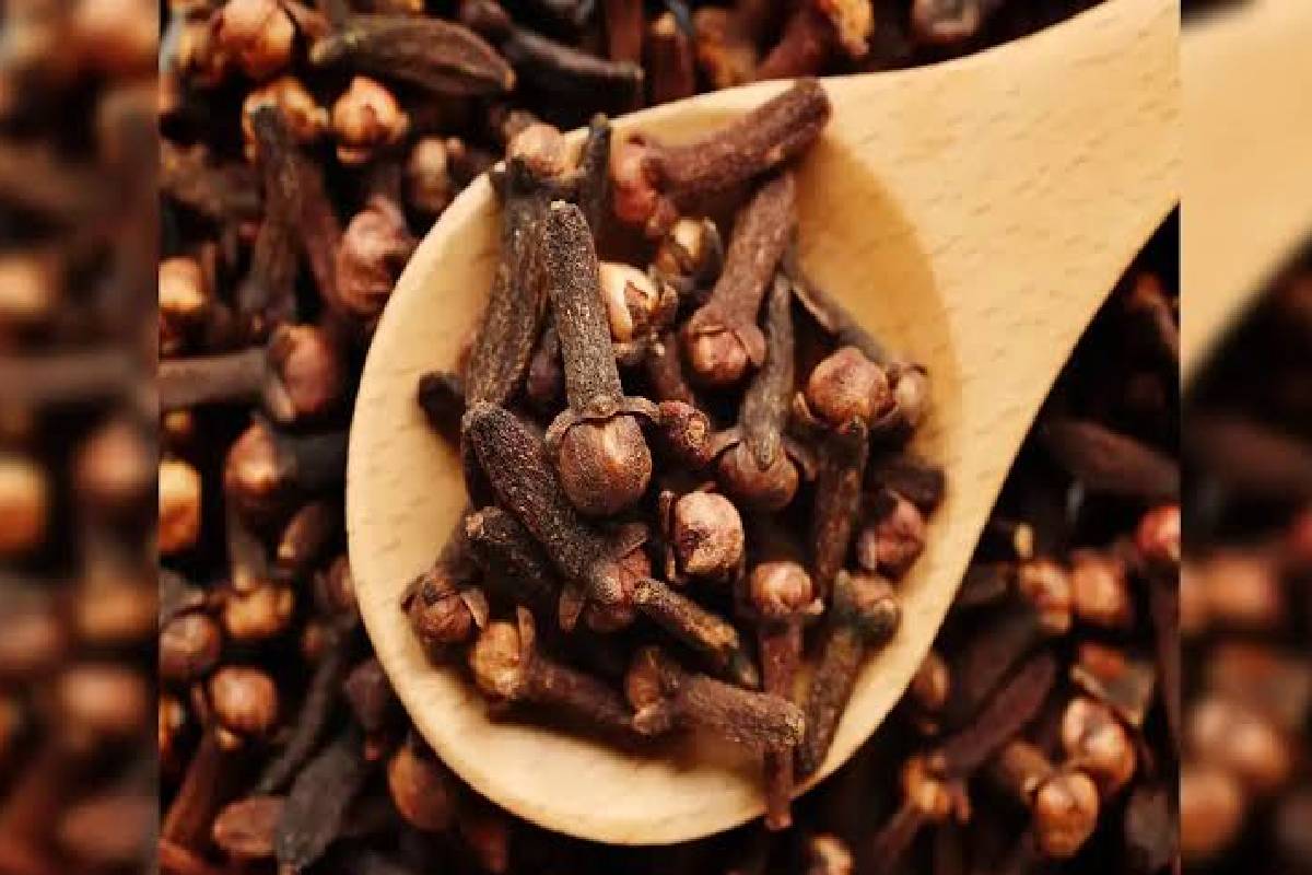 தினமும் காலையில் 2 கிராம்பு: உடலுக்கு கிடைக்கும் முக்கிய 5 நன்மைகள்! | Amazing Health Benefits Of Chewing Cloves Daily தினமும் காலையில் 2 கிராம்பு: உடலுக்கு கிடைக்கும் முக்கிய 5 நன்மைகள்! | Amazing Health Benefits Of Chewing Cloves Daily