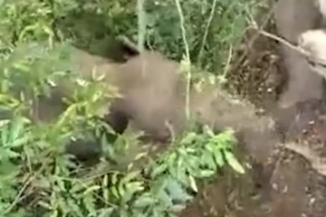 மயிரிழையில் உயர்த்தப்பிய இளைஞர்கள், நெஞ்சை பதைபதைக்க வைக்கும் காணொளி