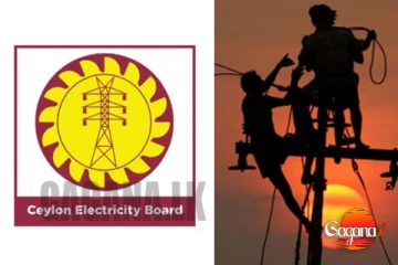 විදුලිබල මණ්ඩල සේවකයින්ගේ නිවාඩු වහාම අවලංගු කෙරේ