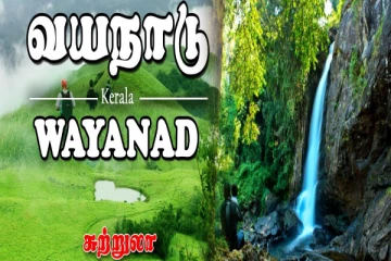 கேரளாவின் பசுமையின் சொர்க்கமான வயநாடு இந்த இடத்தை ஒரு முறையாவது பார்ததுண்டா?