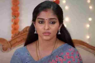 காதல், மன அழுத்தம், பிரிய முடிவு... தடைகளை தாண்டி காதலனை திருமணம் செய்த கார்த்திகை தீபம் சீரியல் நடிகை- அவரே பகிர்ந்த பதிவு