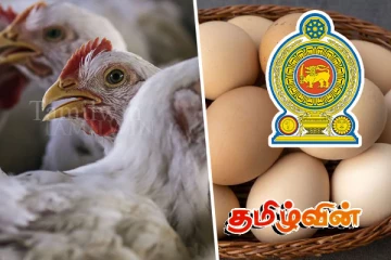 கோழி இறைச்சியின் விலை குறைப்பு தொடர்பில் வெளியான தகவல்