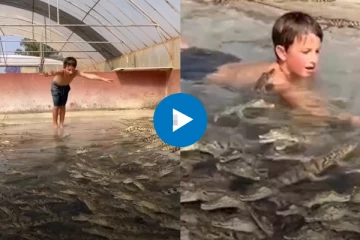 முதலைகள் நிரம்பிய குளத்தில் குதித்த சிறுவனுக்கு என்ன நடந்தது தெரியுமா? வியப்பில் உறைந்த நெட்டிசன்கள்