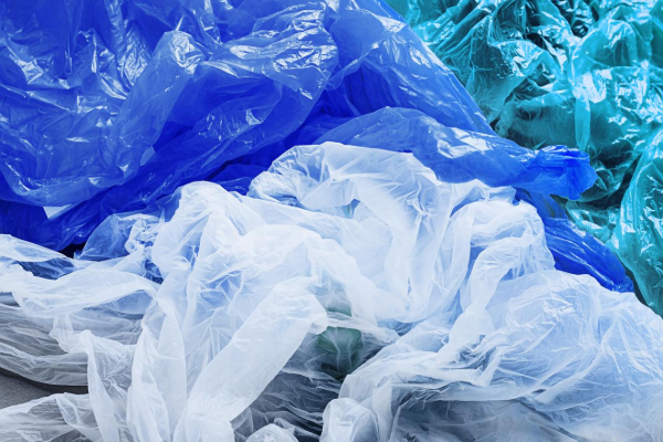 பேரழிவைத் தொடர்ந்து சுற்றாடல் அமைச்சு வெளியிட்ட தகவல் | Information Released Ministry Of Environment பேரழிவைத் தொடர்ந்து சுற்றாடல் அமைச்சு வெளியிட்ட தகவல் | Information Released Ministry Of Environment