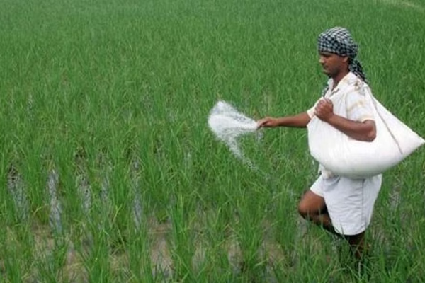 விவசாயிகளுக்கு மகிழ்ச்சித் தகவல் - மீண்டும் இலவச யூரியா உரம்..! | Free Fertilizer Farmers Agricultural Ministry Said