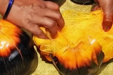 ஐரோப்பாவில் பிரபலமாகும் இலங்கை பனைப்பொருள் - கிடைக்கவுள்ள பெருந்தொகை டொலர்