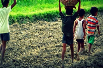 20 ஆண்டுகளில் முதன்முறை : சிறுவர் தொழிலாளர்கள் அதிகரிப்பு!