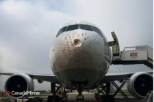 விமானத்தில் மோதிய பறவைக்கூட்டம்; அதன்பின்னர் நடந்தது