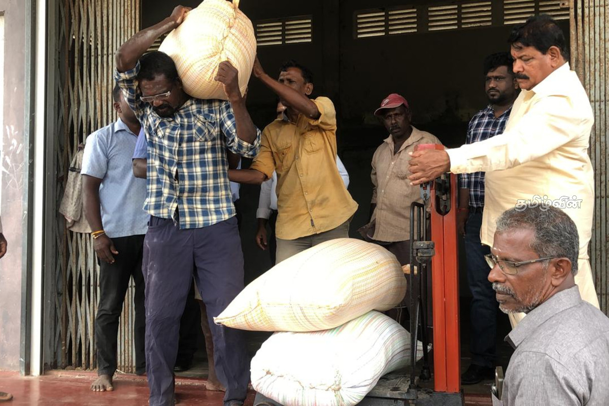 கிளிநொச்சியில் இன்று முதல் நெல் கொள்வனவு | Paddy Procurement Begins In Kilinochchi Today கிளிநொச்சியில் இன்று முதல் நெல் கொள்வனவு | Paddy Procurement Begins In Kilinochchi Today