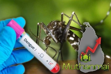 நாட்டில் அதிகரித்து வரும் டெங்கு நோயாளர்களின் எண்ணிக்கை!