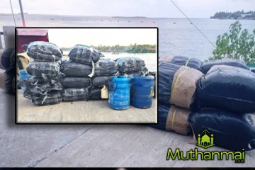 புத்தளத்தில் பெருந்தொகையான பீடி இலைகள் மீட்பு