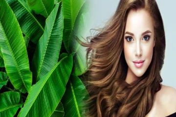 கட்டுகடங்காத முடி வளர்ச்சிக்கு வாழை இலையை இப்படியும் பயன்படுத்தலாமா!