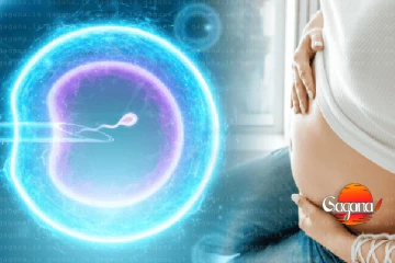 දරුවෝ නැද්ද? බයවෙන්න එපා - රජයේ රෝහලෙන් නළ දරු උපත් පහසුකම්