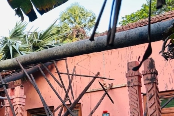 யாழ் குப்பிளானில் பலத்த காற்றால் வீட்டின் மீது விழுந்த பனை மரம் | Palm Tree Falls On House Jaffna Strong Winds