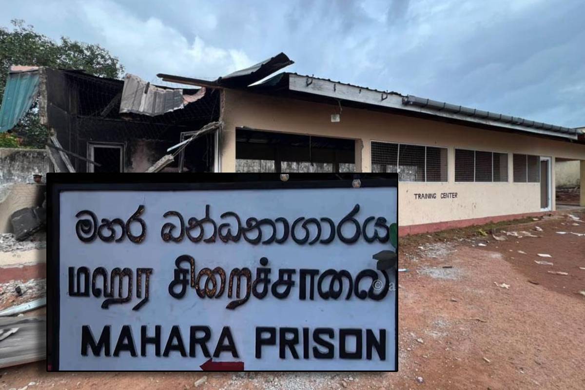 மஹர சிறைக்கலவரத்திற்கு வெளியாட்களின் ஒத்துழைப்பு கிடைத்துள்ளதா... விசாரணைகள் தீவிரம் | Outsiders Cooperation In Mahara Prison Conflict மஹர சிறைக்கலவரத்திற்கு வெளியாட்களின் ஒத்துழைப்பு கிடைத்துள்ளதா... விசாரணைகள் தீவிரம் | Outsiders Cooperation In Mahara Prison Conflict