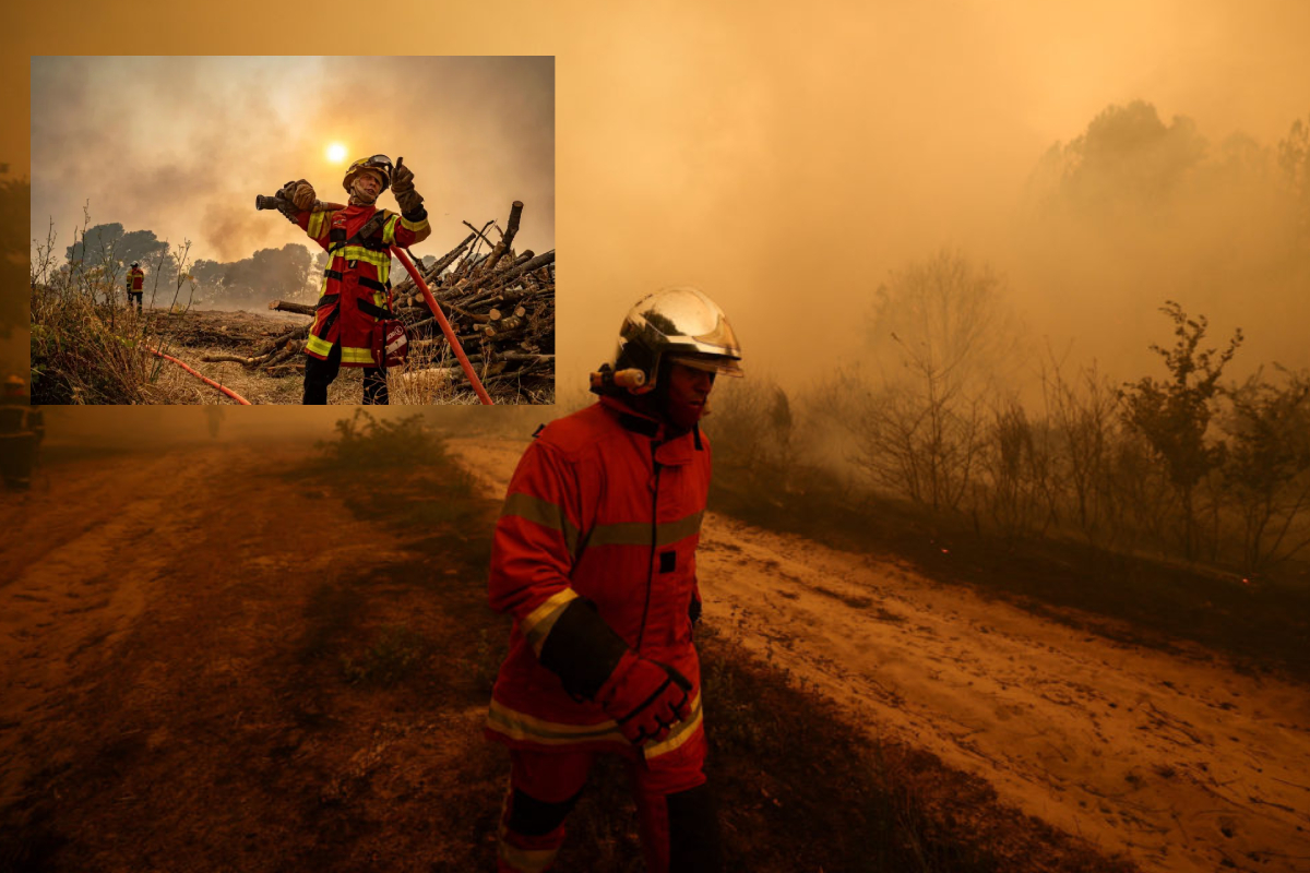 பிரான்ஸில் காட்டுத்தீயை ஏற்படுத்திய 474 பேர் கைது | 474 People Arrested Causing Wildfires In France